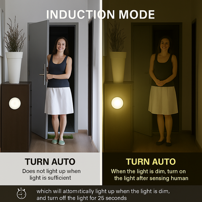 Motion sensor night light 